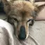 kei♡のプロフィール画像