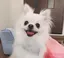 きょん。のプロフィール画像