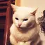 えびこのプロフィール画像
