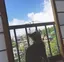 yuiのプロフィール画像