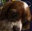 まっきんのプロフィール画像