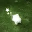 モモカのプロフィール画像
