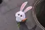 usapopoのプロフィール画像