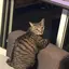 naoのプロフィール画像