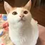 結愛のプロフィール画像