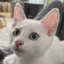 Wiのプロフィール画像