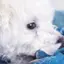 ひなのプロフィール画像