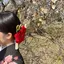 honoのプロフィール画像