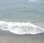 きほのプロフィール画像