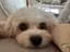 あやのプロフィール画像
