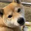 まきのプロフィール画像