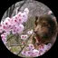 itsukiのプロフィール画像