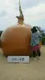 sayuのプロフィール画像