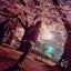 みきのプロフィール画像