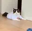 まなみのプロフィール画像