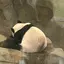 皓のプロフィール画像