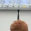 オレンジマンのプロフィール画像