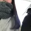 あやかのプロフィール画像