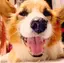 まあこのプロフィール画像