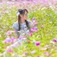 れいちぇるのプロフィール画像