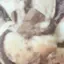 こちゃのプロフィール画像