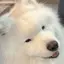ERIのプロフィール画像