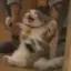 お粥のプロフィール画像