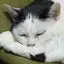 なーみのプロフィール画像