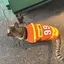 mのプロフィール画像