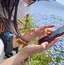 さっのプロフィール画像
