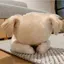 611のプロフィール画像