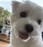 麻美のプロフィール画像