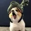 saaaのプロフィール画像