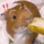 ひなのプロフィール画像