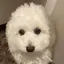 れんのプロフィール画像