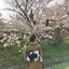 Hinaのプロフィール画像