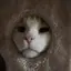 らーちゃんのプロフィール画像