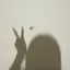 meiのプロフィール画像