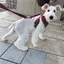 春のプロフィール画像