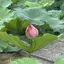 みさのプロフィール画像