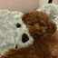 aのプロフィール画像