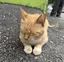 みのプロフィール画像