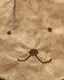 もかのプロフィール画像