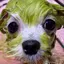 もものプロフィール画像