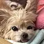 智のプロフィール画像