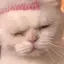 まりいのプロフィール画像