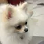 Mのプロフィール画像
