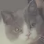 くーのプロフィール画像