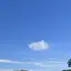 miwaのプロフィール画像