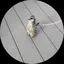 Reのプロフィール画像